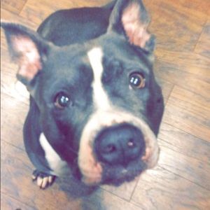 Meet your Posher, Rory